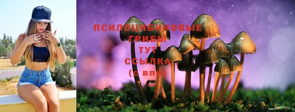 круглые Белокуриха