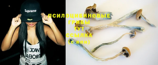 круглые Белокуриха